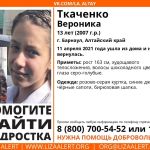 В Барнауле пропала девочка после прогулки с неизвестным парнем
