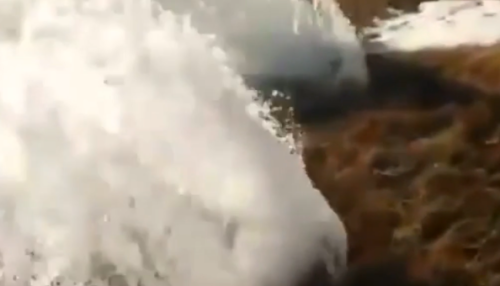 Ученые назвали причину фонтанирующей из-под земли воды на Алтае