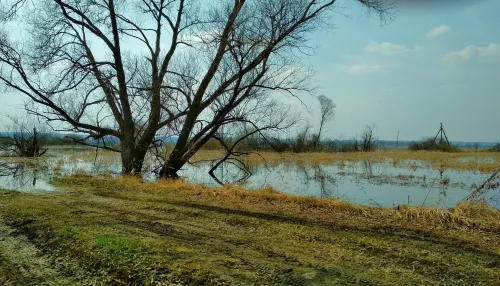 Народные приметы 24 апреля. Что можно и нельзя делать на Антипа Водогона