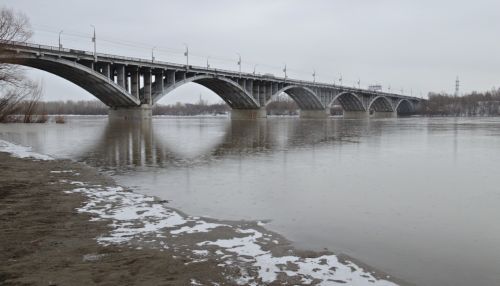 Уровень воды в реке Бия за сутки поднялся почти на метр