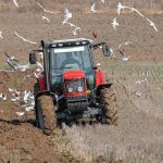 Алтайские фермеры прогнозируют начало посевной не раньше Пасхи