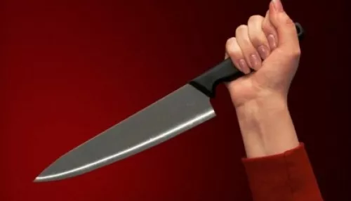 В Алтайском крае молодая мать одним ударом ножа убила мужа
