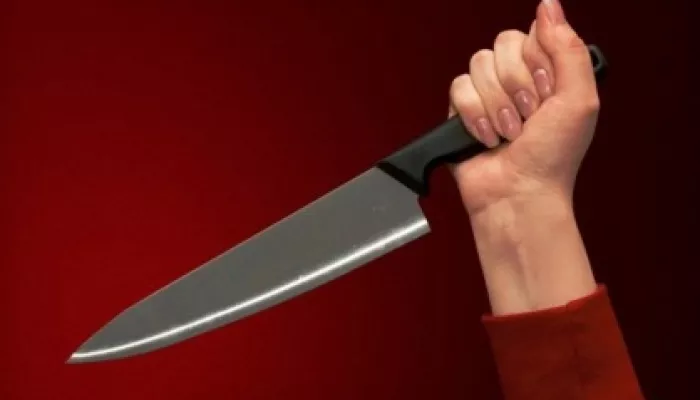 Жительница Алтайского края убила знакомую двумя ножами, нанеся 29 ударов