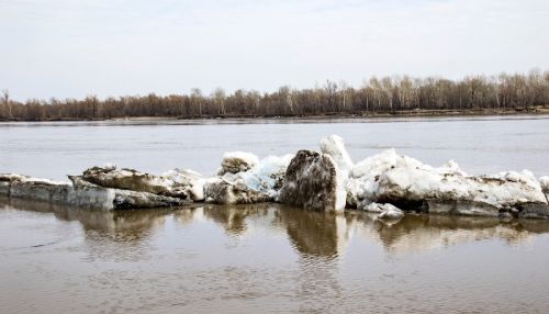 Первые пошли: в Барнауле начался ледоход на Оби