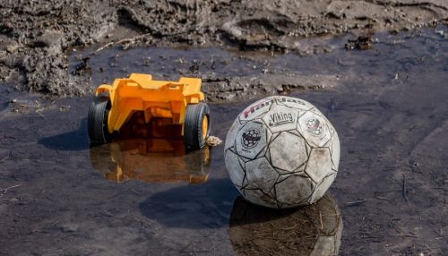 Алтайский край к выходным ждет похолодание со снегом и дождем