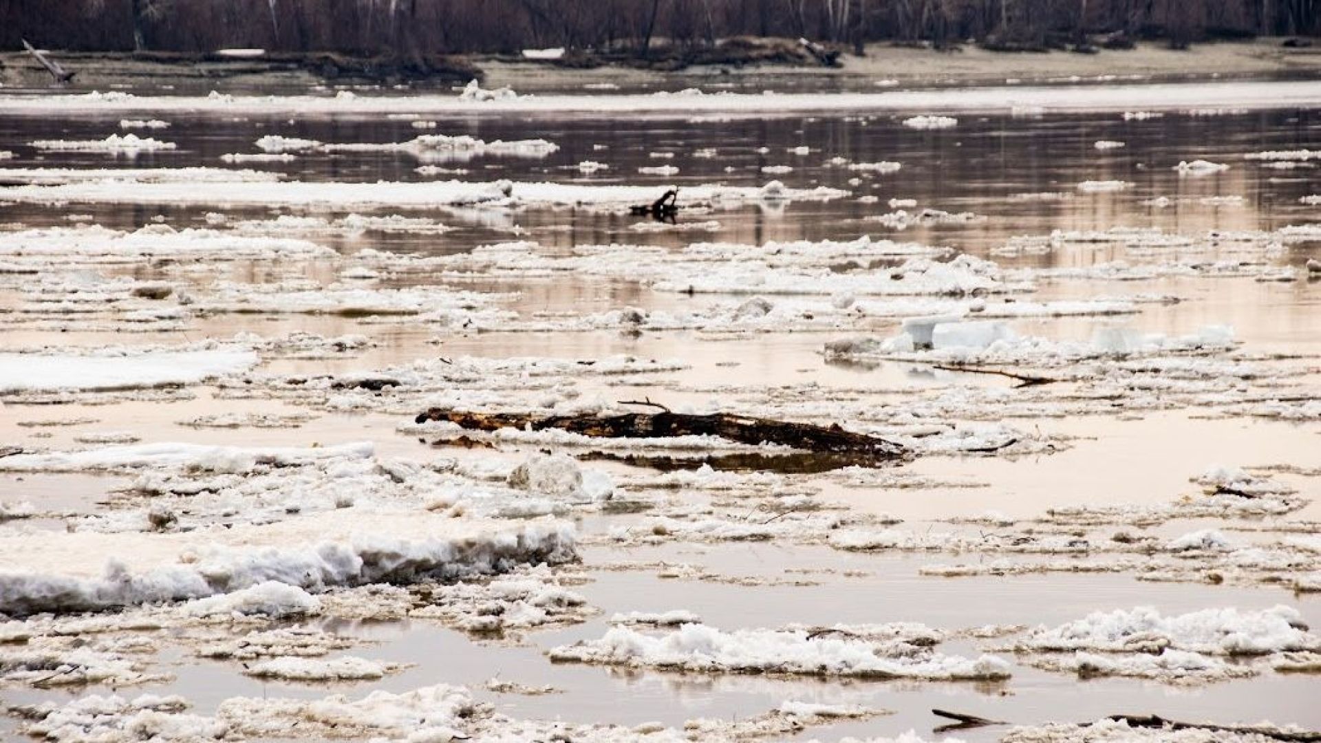 Прочитайте ледоход лед идет вышел на берег. Ледоход в Барнауле 2022. Снежура Шуга. Шуга на реке. Апрель ледоход.