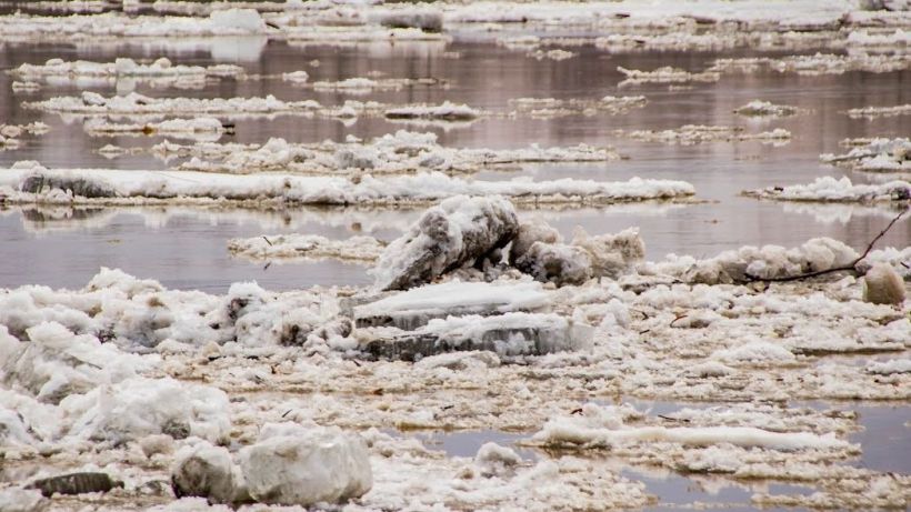 Ледоход в Барнауле - 2021 Фото:Виталий Барабаш