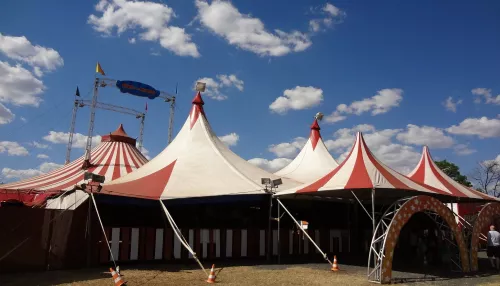 В новосибирском цирке во время выступления сорвался акробат
