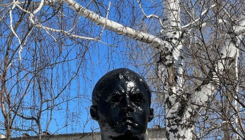 Барнаульскую гимназию заставили закрасить blackface на бюсте Матросова