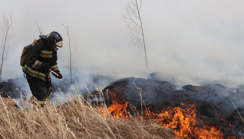 Горит мусор и трава: в Алтайском крае потушили почти 70 пожаров за сутки