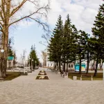 Стало известно, какая погода будет в Алтайском крае во второй половине апреля