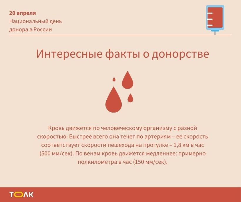 Факты о донорах крови Фото:"Толк"
