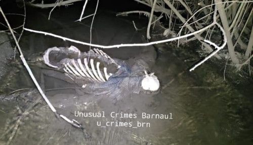 Скелетированный труп нашли в барнаульском парке Юбилейный