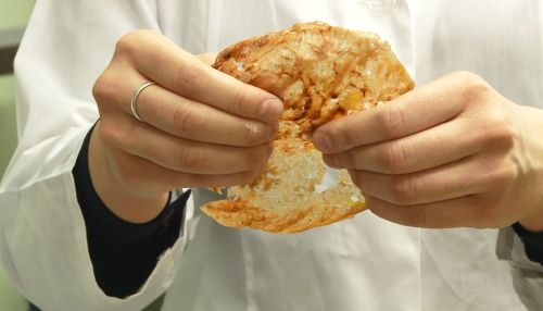 Пакеты из бананов: алтайские ученые показали экологичные ноу-хау