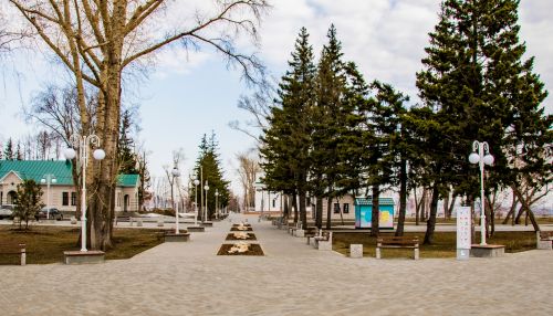 До +9 градусов потеплеет в пятницу в Алтайском крае