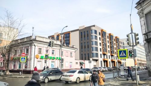 Мэрия просит строителя расселить аварийный дом на ул. Гоголя из-за жалобы Путину