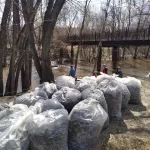 Что такое месячник весенней санитарной очистки и как он проходит в Барнауле