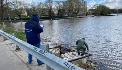 Школьницу нашли мертвой в сточной канаве в Подмосковье