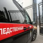 Возбуждены первые уголовные дела о публичном распространении фейков о ВС России