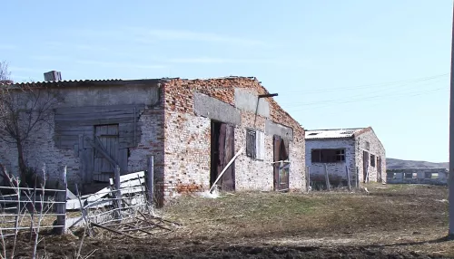 Гибнет село и хозяйство: жители алтайского села жалуются за захват власти