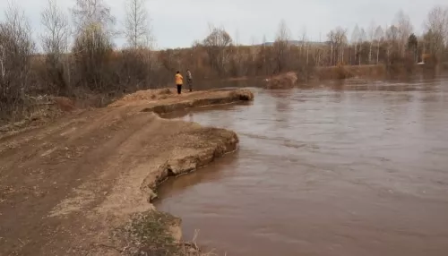В Алтайском крае вышедшая из русла река Иша разрушила участок дороги