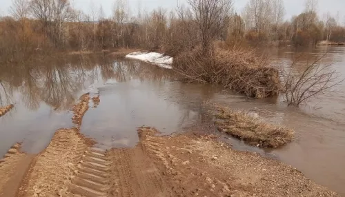 В Алтайском крае разлившаяся река затопила участок дороги