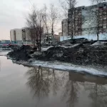 Блогер Варламов назвал Новосибирск самым грязным городом России