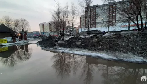 Блогер Варламов назвал Новосибирск самым грязным городом России