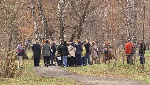 Мизюлинскую рощу в Барнауле облагородят за 58 млн рублей