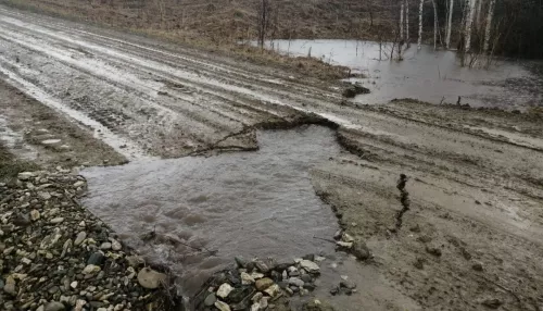 Восемь дорог перекрыли в Алтайском крае из-за подтопления