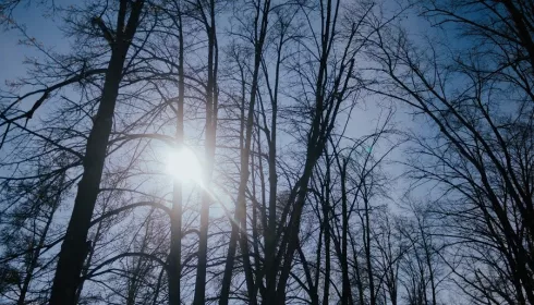 Календарь магнитных бурь на февраль 2026 года: прогноз от экспертов