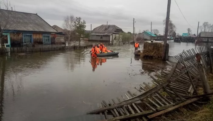 Фейк о распространении холеры на фоне паводка запустили в Алтайском крае