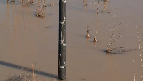 Уровень воды в реке Бия превысил критическую отметку