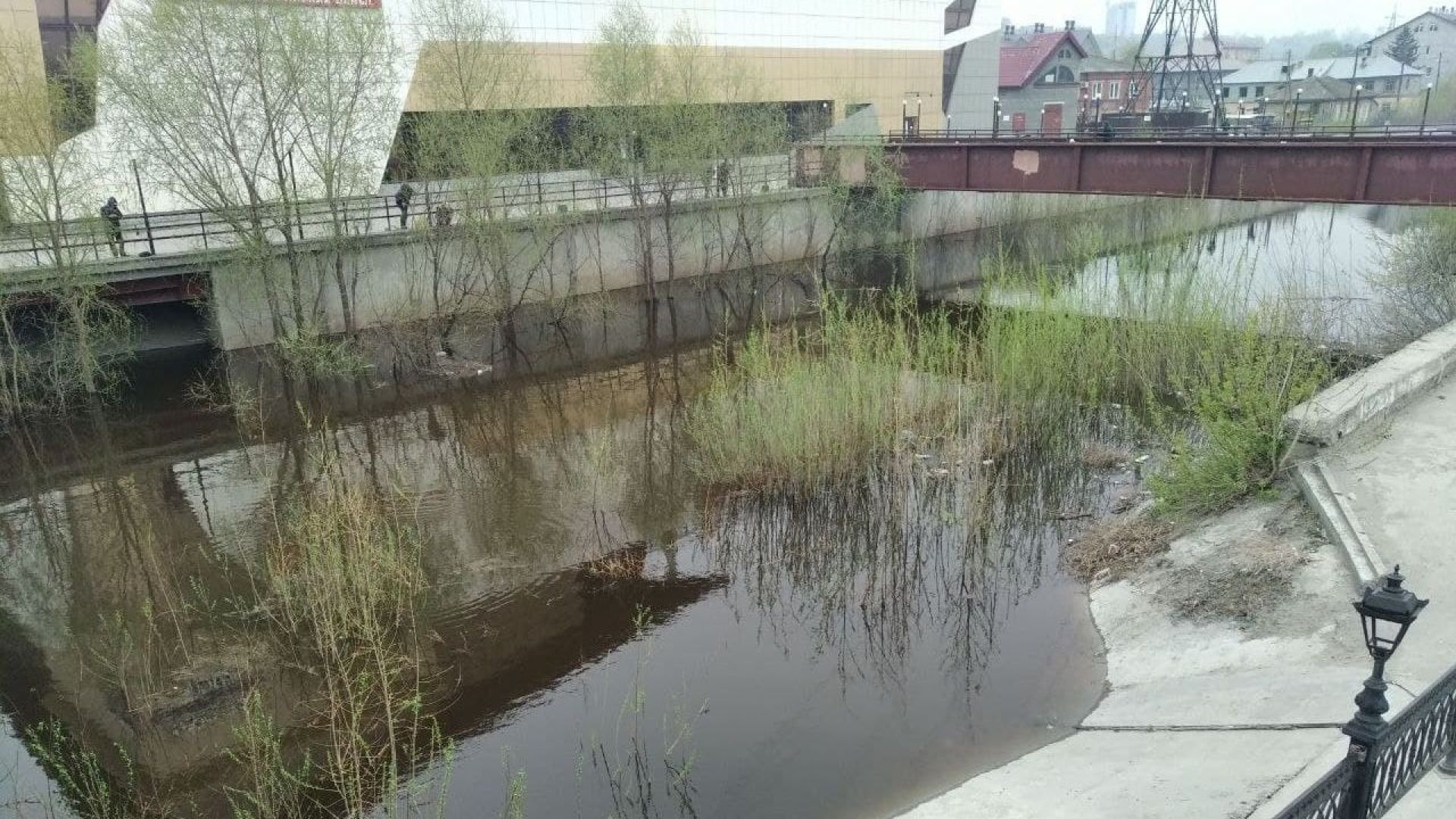 Уровень воды в камне на оби сегодня. Пойма Барнаулки 2023 го. Наводнения в Тобольске фото. Дамба Барнаулка где находится.