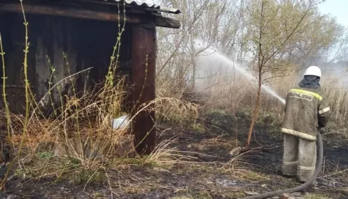 Алтайский край затягивает дымом многочисленных ландшафтных пожаров