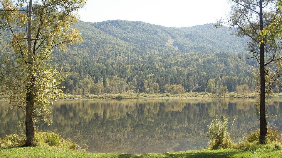 База манжерок горный алтай фото