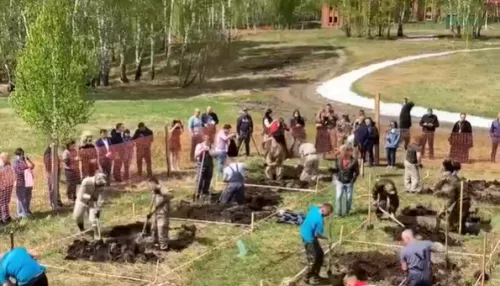 В Новосибирске провели чемпионат по копанию могил на скорость