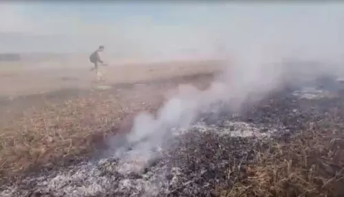 Алтайские спасатели поймали поджигателей сухой травы
