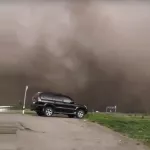 Пыльная буря накрыла участок трассы Р-256 в Алтайском крае