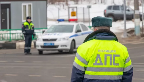 В Кузбассе пьяный водитель показал полицейским набор для барбекю вместо прав