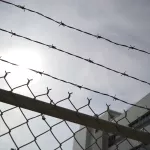 ФСИН предложила использовать труд заключенных вместо мигрантов