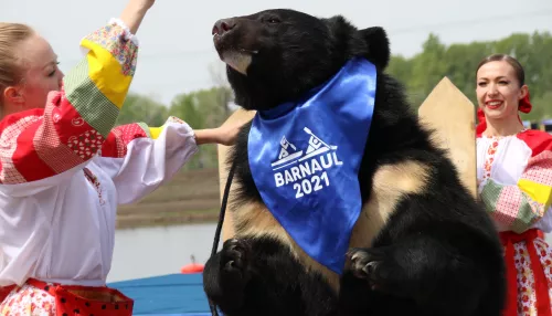 Медведь Топтыша поучаствовал в открытии барнаульского этапа Кубка мира по гребле