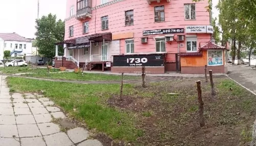 Полиция не нашла причастных к вырубке зеленого сквера в Барнауле