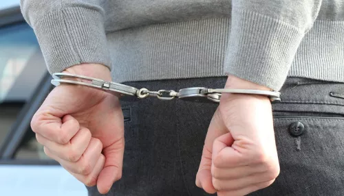 Следком прокомментировал задержание алтайского экс-чиновника по делу об убийстве