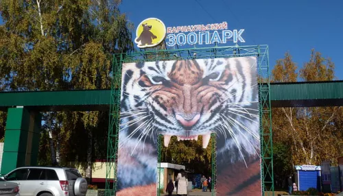 Барнаульцам напомнили условия посещения зоопарка после введения QR-кодов