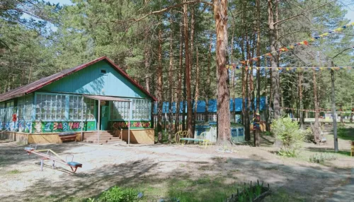Более пяти тысяч семей Алтайского края получили кешбэк на летний отдых детей