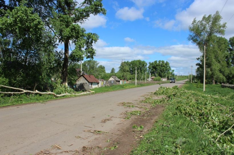 Последствия урагана в Старой Тарабе. Фото:"Сельский вестник", kytmanovonews.ru