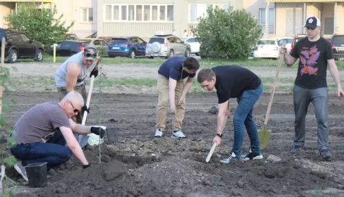 В Барнауле на Аллее Славы высадили еще 40 деревьев