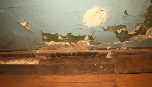 Это бомжатник: жильцы аварийного дома на Потоке в Барнауле против переселения