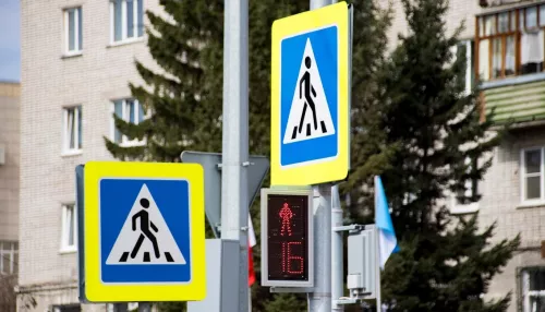 Ночью в Барнауле мужчина сорвал дорожный знак и размахивал им на дороге